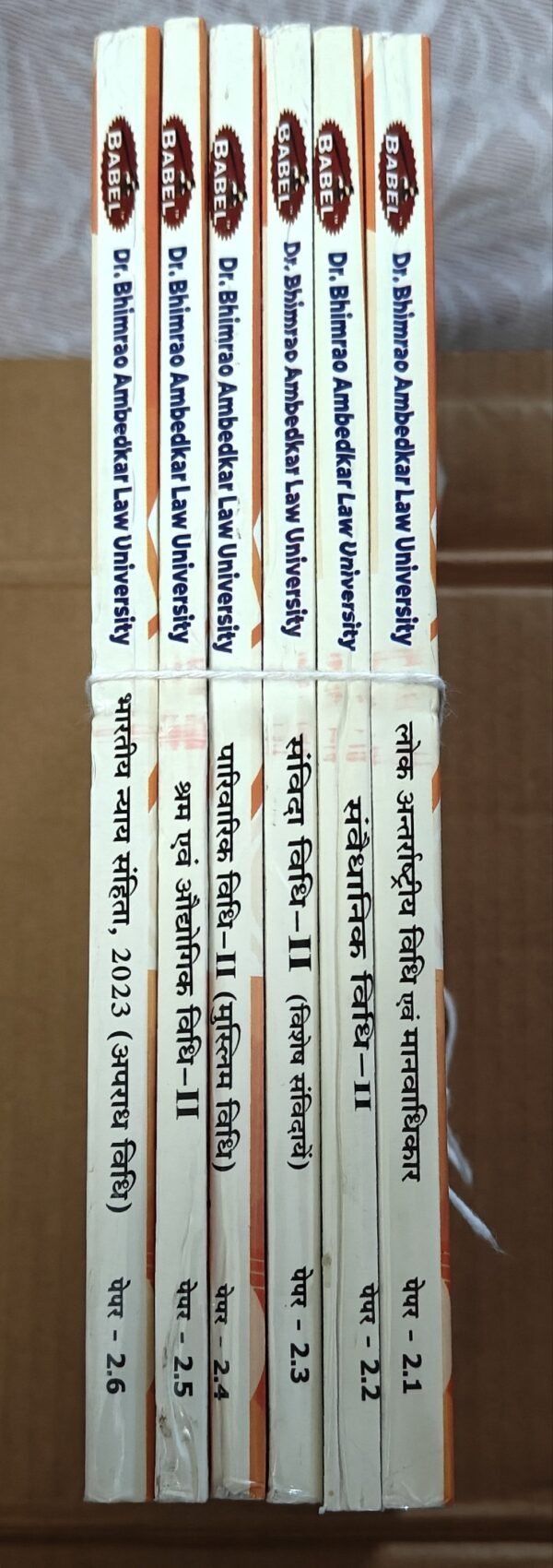 Babel Law Series for Dr Bhimrao Ambedkar University Second Semester set of 6 books ( Questions and Answers) in Hindi